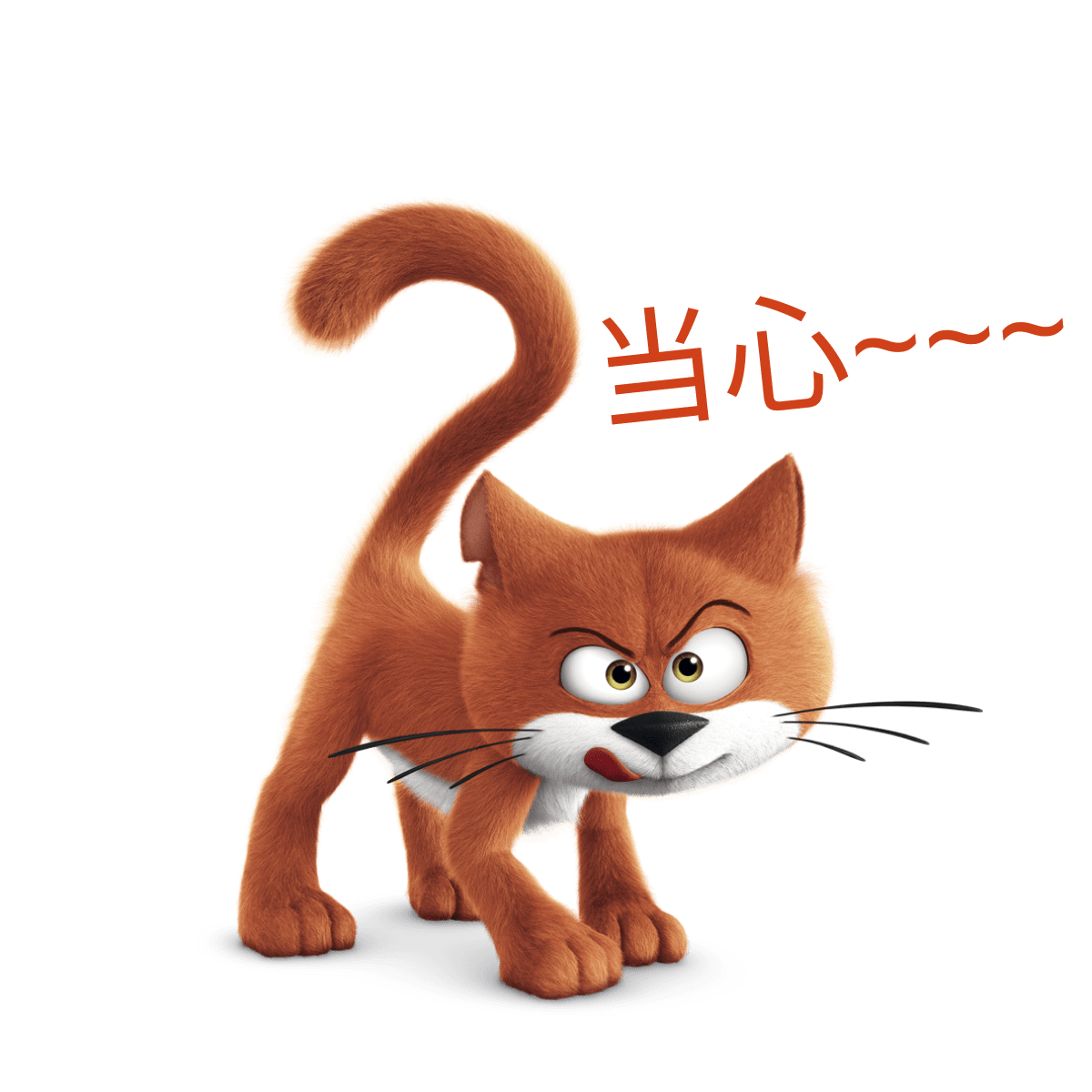 阿兹猫